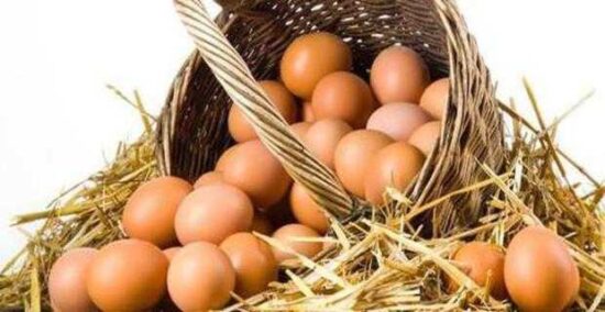 Toptan Köy Yumurtası Satın Alan Firmalar
